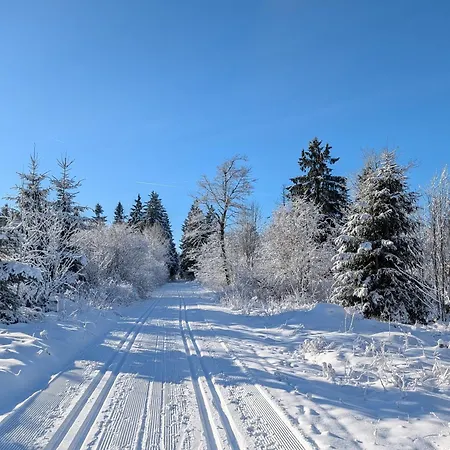 Prázdninový dům Baerenloch *