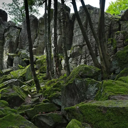 Baerenloch 펜션 힐더스