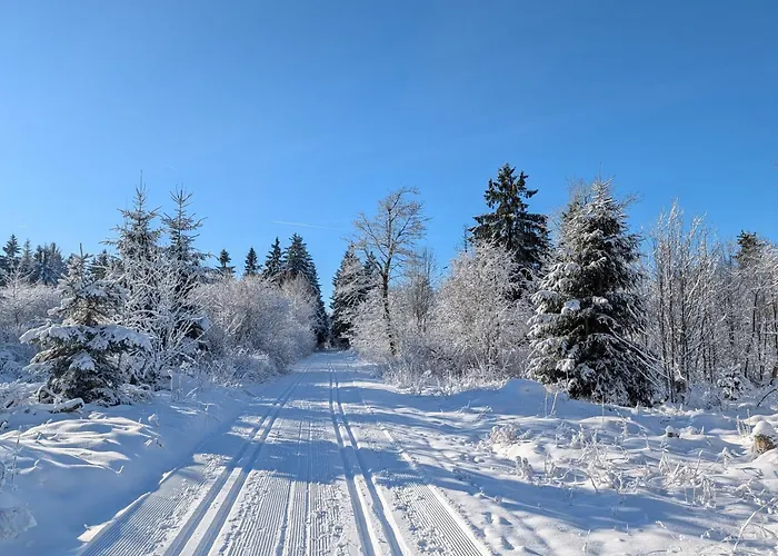 Ferienhaus Bärenloch *